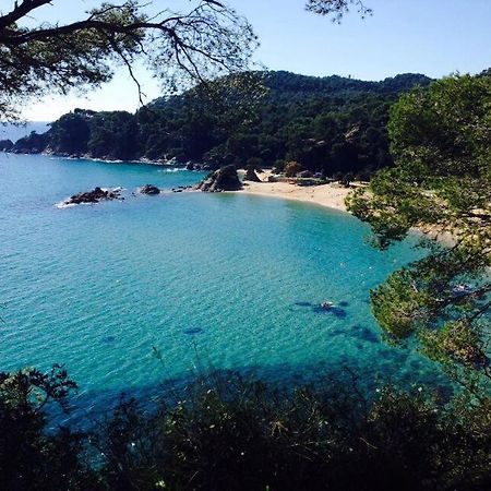 Appartements Les Pesquiers 2 Hyeres Plage Екстериор снимка