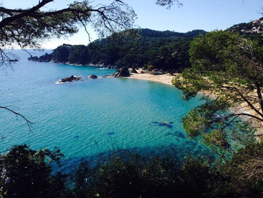 Appartements Les Pesquiers 2 Hyeres Plage Екстериор снимка